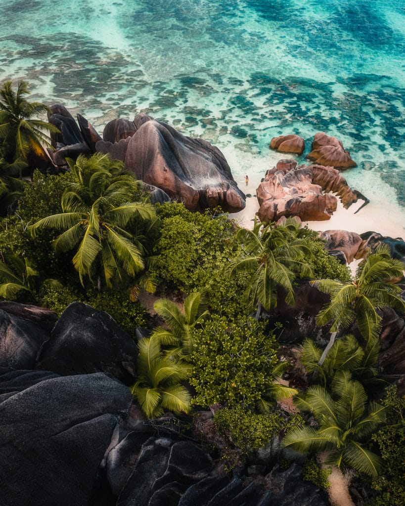 Aerial top down view of palm trees and rock formations at Anse Source d'Argent beach, La Digue