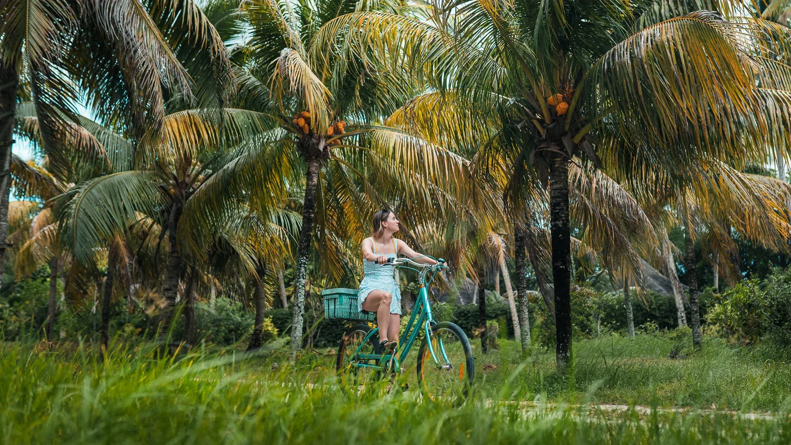 View of a woman riding a bike down a sandy road under palm trees in Union Estate, La Digue