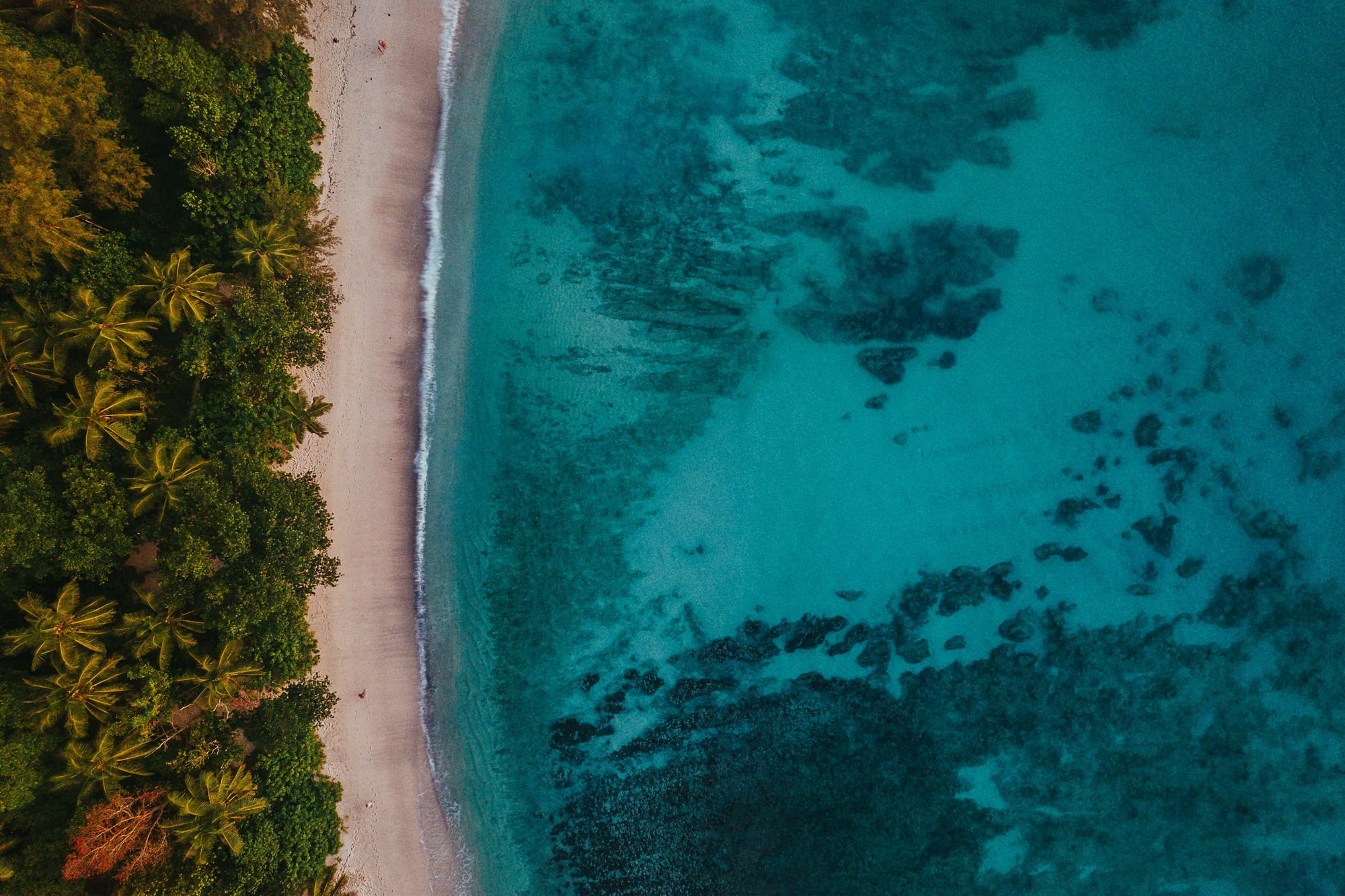 Arieal top down view of a beach with blue water in Seychelles