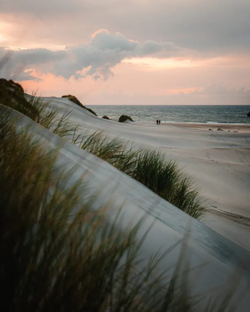 grass and sand dunes at wharariki beach