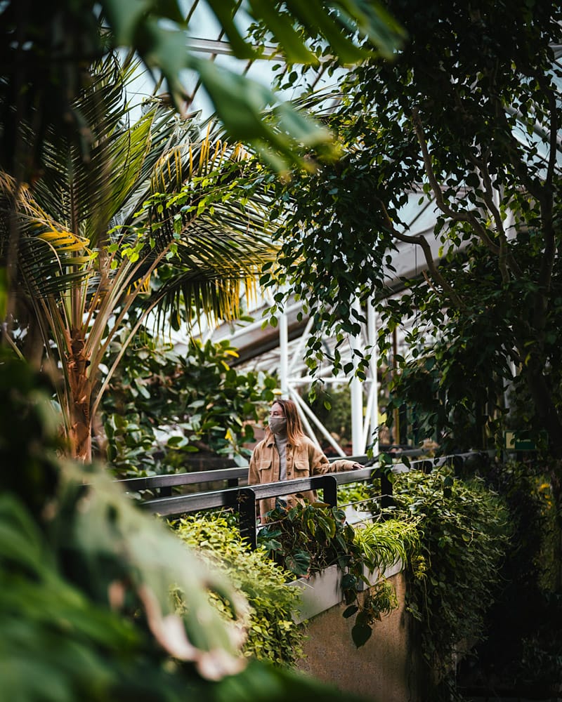 Woman walking across a concrete bridge surrounded by tropical plants at the Barbican conservatory.