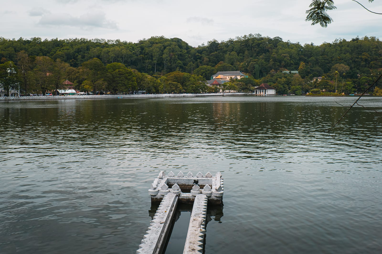 Lake with buildings and trees in background