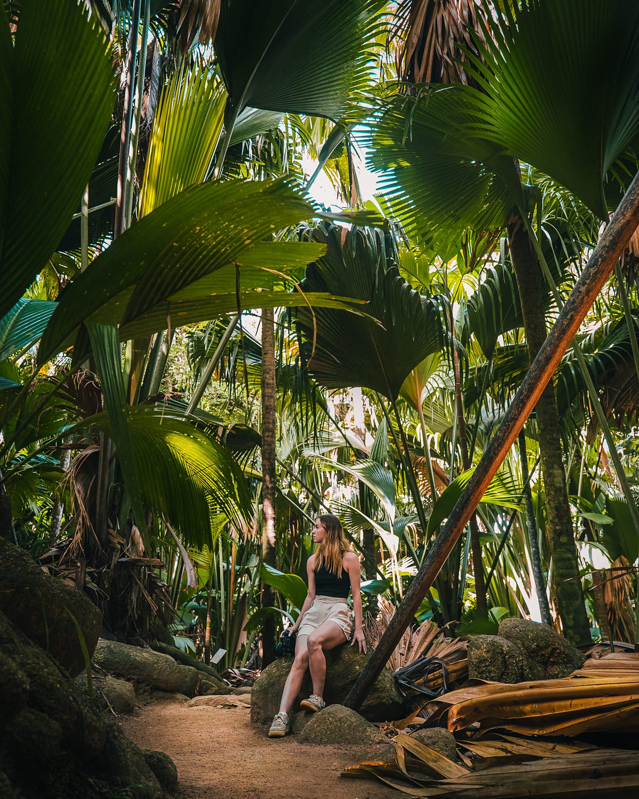 woman sat in tropical forest called  Vallée de Mai Nature Reserve.