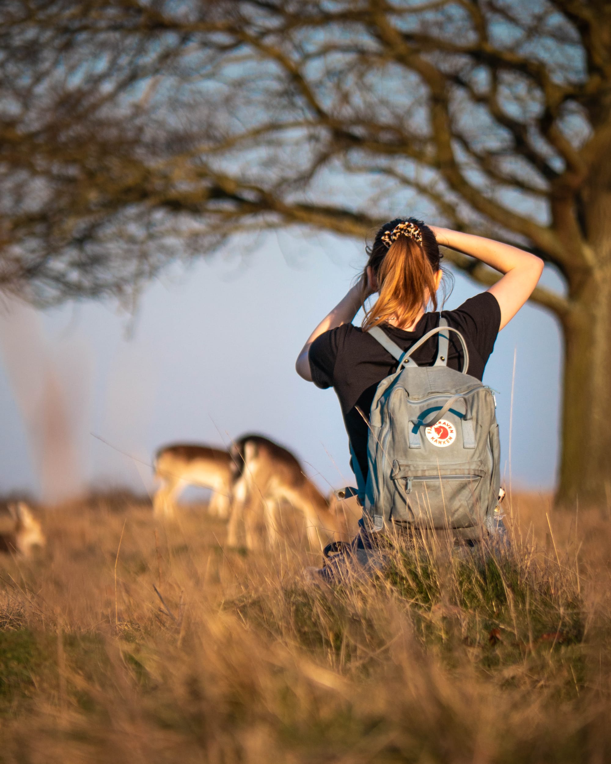 Woman photographing deer in Richmond park, London