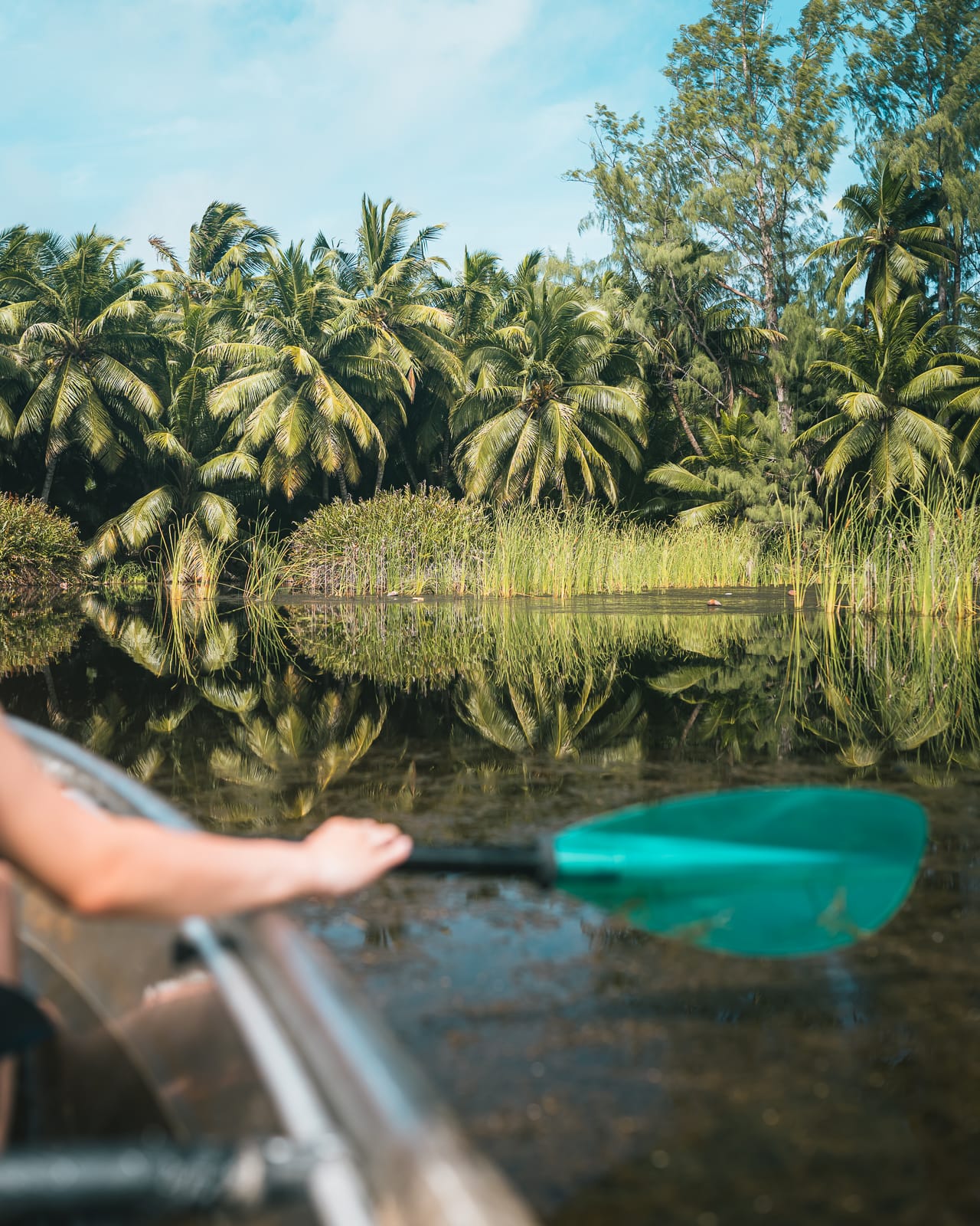 Kayak and paddle in wetlands in the seychelles