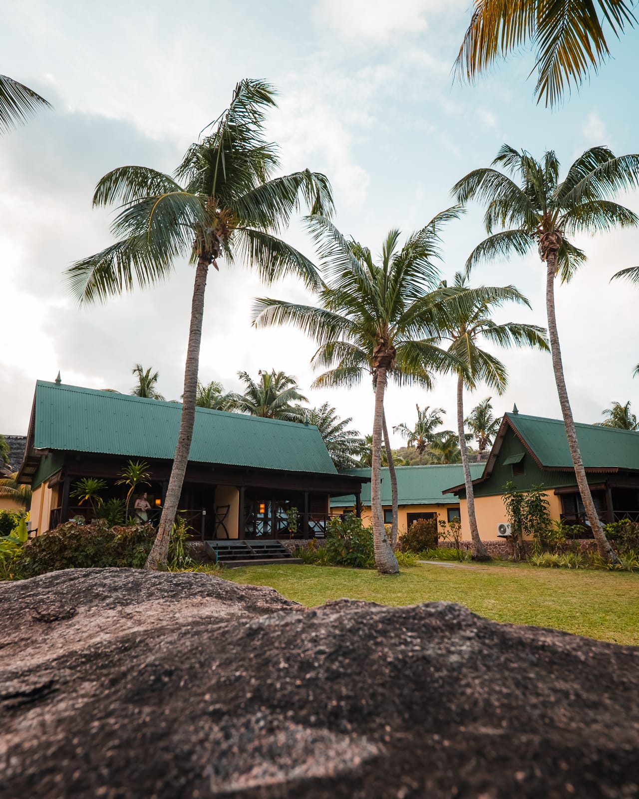 bungalow surrounded by palm treets