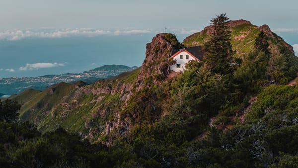 Madeira Travel Guide: 10 things you need to know before you go