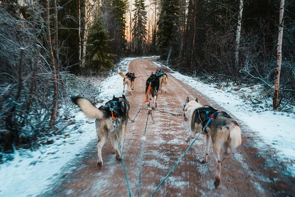 15 Best Autumn & Winter things to do in Finnish Lapland