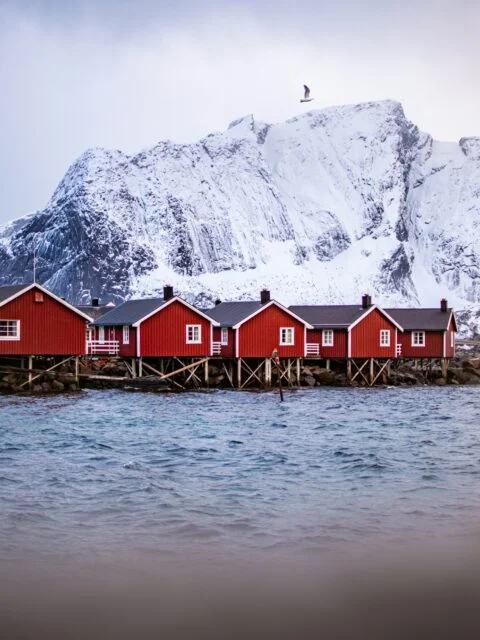 Red fishing cabins with a snowy mountain backdrop during winter in Lofoten Islands, Norway